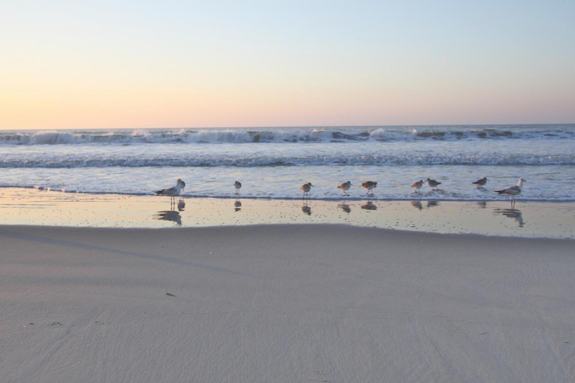 Ocean Pearl Villa Isle of Palms Buitenkant foto